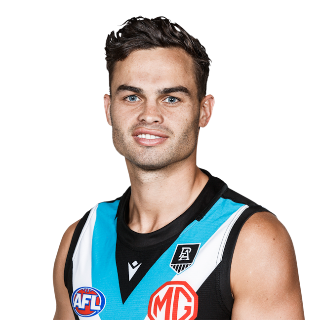 Karl Amon profile picture